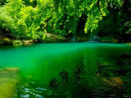 Tropical Escape For Calm & Focus