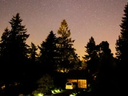 Tropical Forest: Soothing Sounds For Deep Sleep