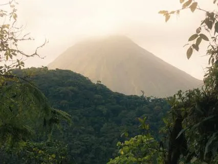 Tropical Jungle Soundscape — Birds & Nature • 10 Hours