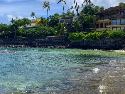 Tropical Morning Magic