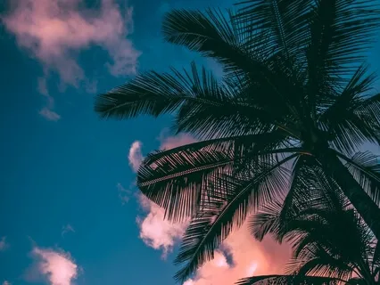 Tropical Paradise (3-Hour Version)