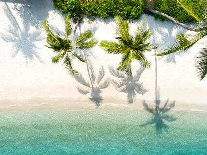 Tropical Paradise Beach Waves