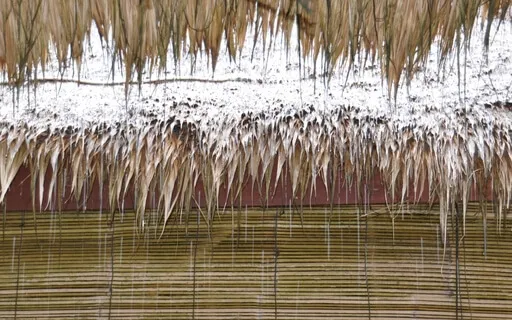 Tropical Rain (Natural White Noise)