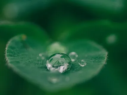 Awakening Compassion As Your True Nature