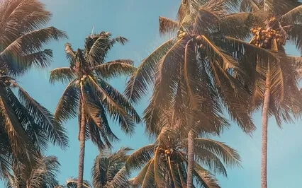 True Connection To Self & Source (528Hz Healing Tone)