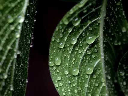 True Intimacy - Open Meeting With Jared