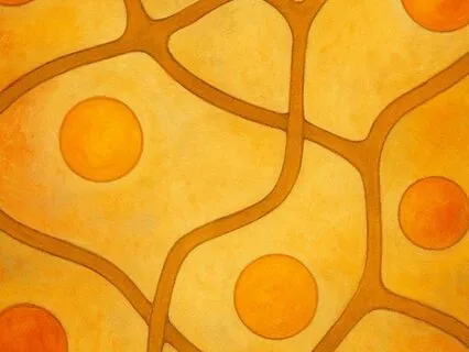 True Merit And Emptiness: A Bodhidharma Koan