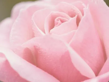 True Romance - Twin Flame Poetry