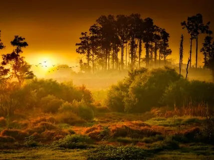 True Spiritual Gifting: Getting Beyond Your Talent