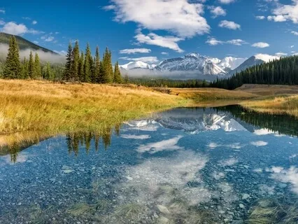 Truest Most Beautiful Life