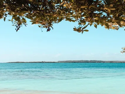 Trust And Surrender Affirmations