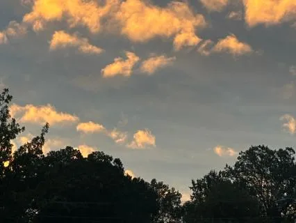 Trust And Surrender Meditation