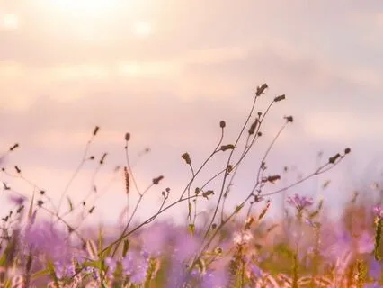 Trust Divine Timing : Time-Friendly Affirmations