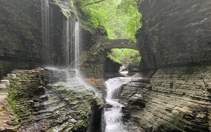 Trust Fall Into Love