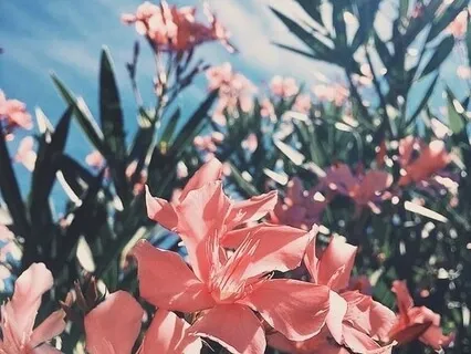 Centering Hebraic Meditative Prayer - Betach Ba Donai