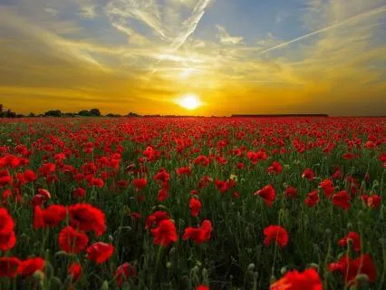 Trust In The Rhythm Of Life | Morning Meditation