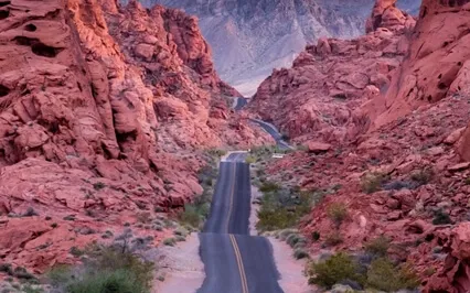 Trust In The Timing Of Your Life