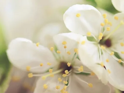 Trust In The Universe!