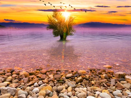 Trust In The Universe