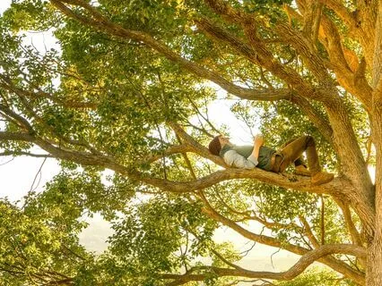 Trust In Your Growth & Expansion