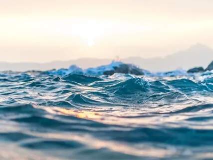 Trust Instead Of Trying