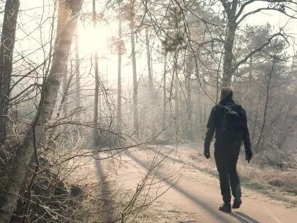 Trust Is The Path You Are Walking