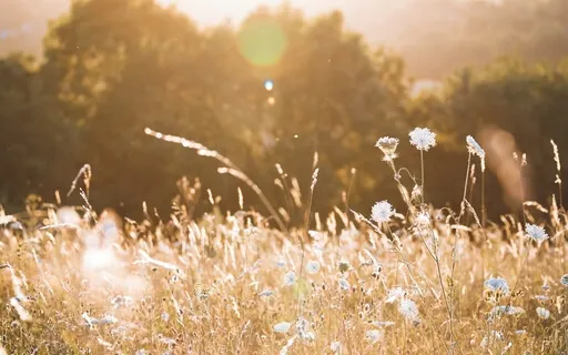 Trust Medical Procedures & Your Body (Relax Before Surgery)