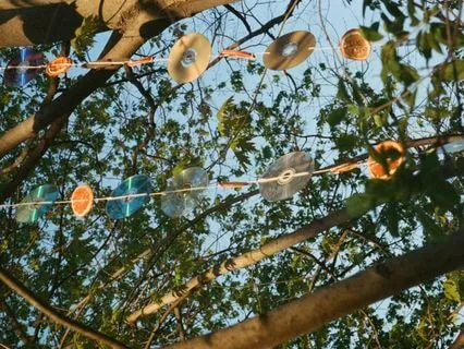 Trust & Support In The Fall