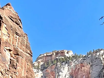 Trust, Thankfulness, And Focus