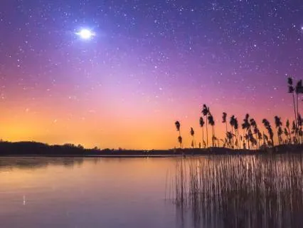 Trust That Everything Is Taken Care Of While You Fall Asleep