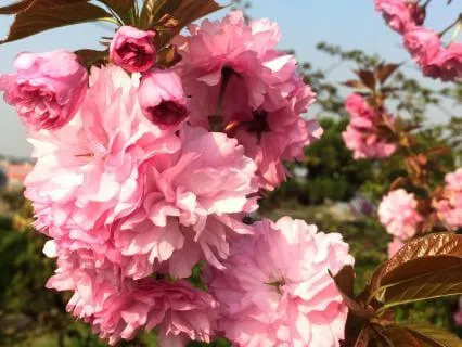 Trust That Everything Is Taken Care Of