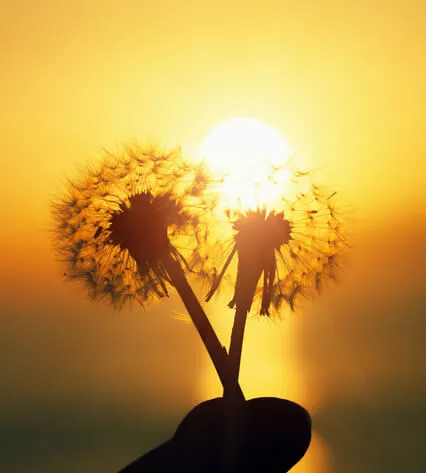 Trust The Divine Timing Of Your Life (Daily Insight)