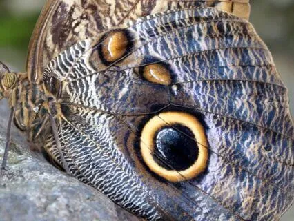 Trust The Knowing: Awakening Your Intuition Meditation