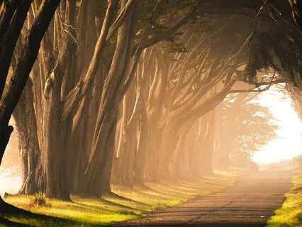 Trust The Path: 777 Alignment