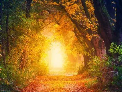 Trust The Path Ahead | Meditation For When You Feel Lost