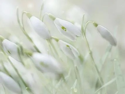 Trust The Seasons Of Your Life