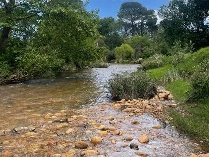 Trust The Unfolding Of Your Life