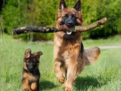 Trust Today Is Going To Be A Great Day
