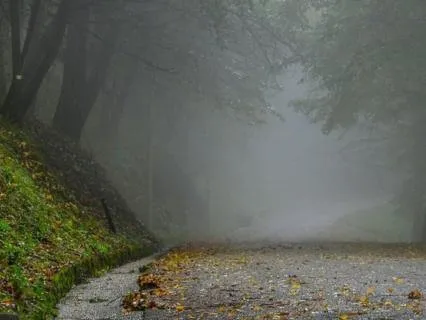 Trust When You Can’t See The Way