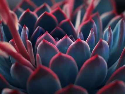 Trust Within Relationships With Tracy Brady