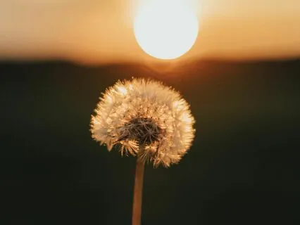 Trust Your Direct Experience - Rise & Receive