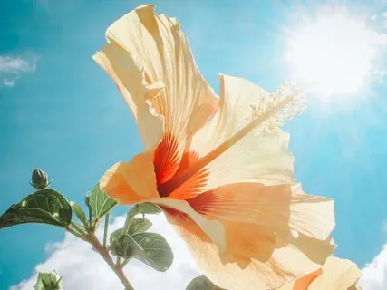 Trust Your Inner Wisdom