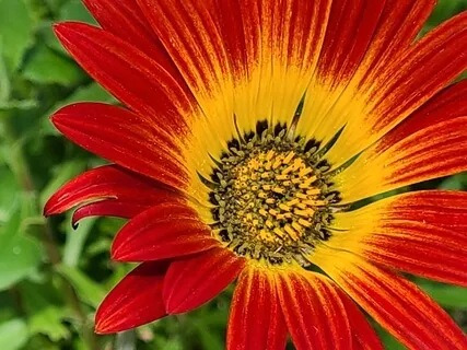 Trust Your Intuition And Guidance 