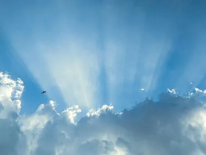 Trust Your Intuition: Morning Meditation