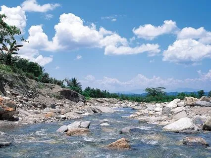 Trust Your Intuition: Strengthen Inner Guidance