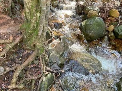 Trust Your Intuition