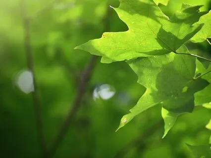 Trust Yourself & Love Yourself | Orchestral Music