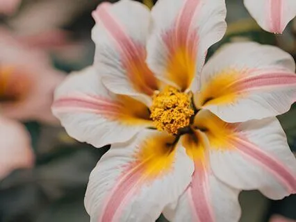 Trust Yourself: Steady Your Self Belief