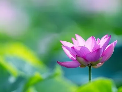 Trust - Letting Go - Surrender - Soothing Meditation