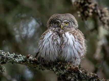 Trusting In Ever Flowing Abundance